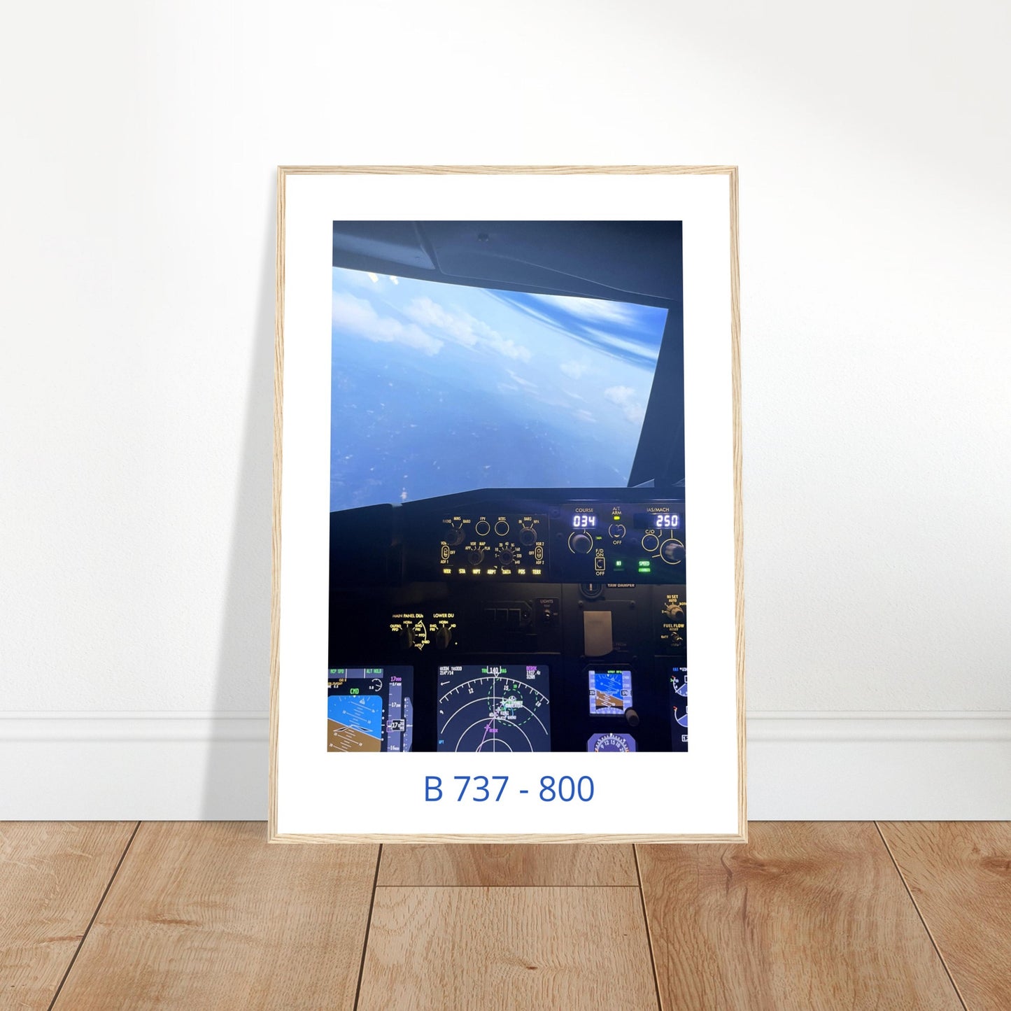 Boeing 737 Cockpit - Descent - Aviation Collection